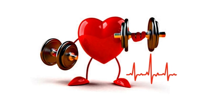 Частота сердечных сокращений ЧСС до и после тренировки