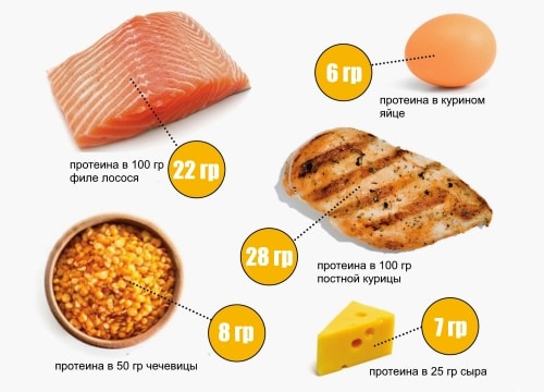 Основные пищевые источники протеина